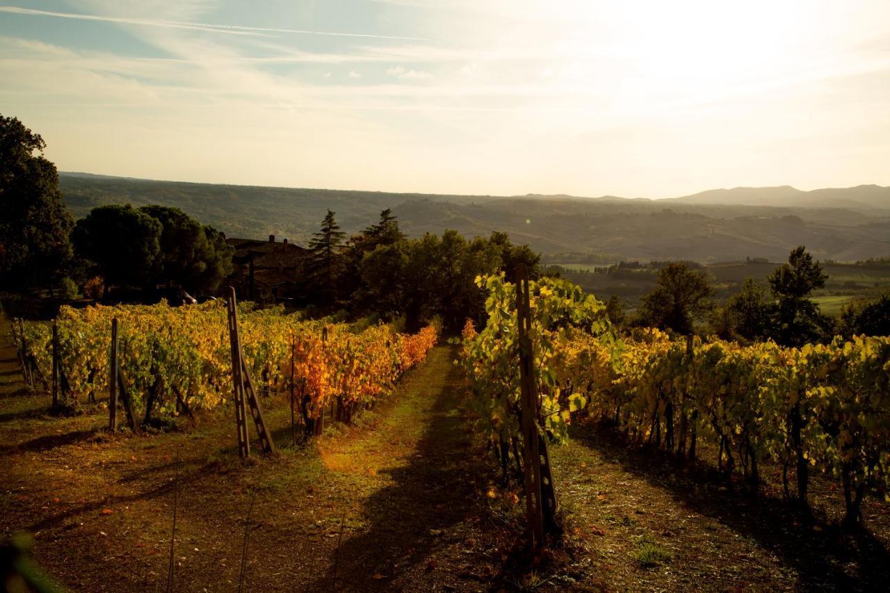 Agriturismo Le Roghete Acquapendente Eksteriør bilde