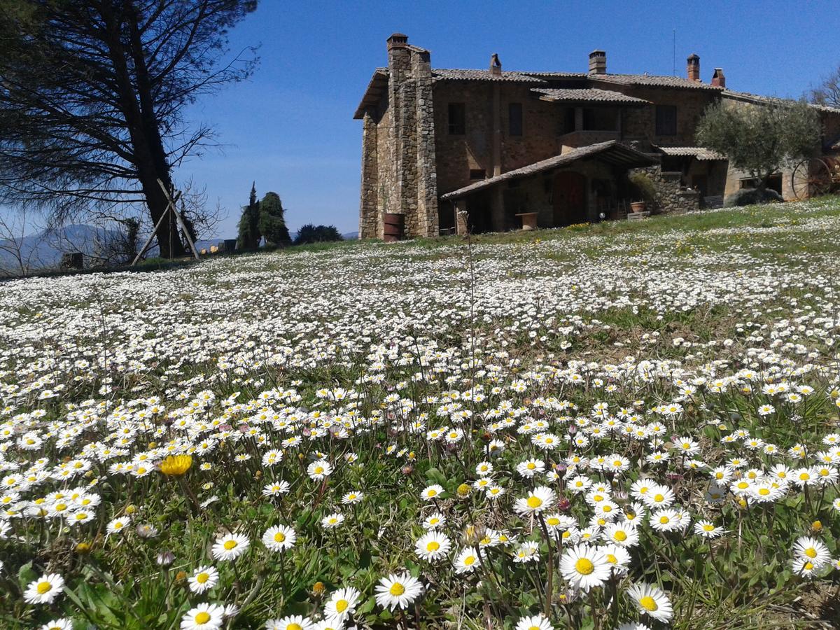 Agriturismo Le Roghete Acquapendente Eksteriør bilde