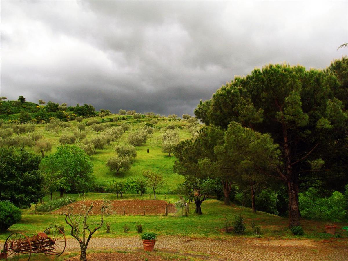 Agriturismo Le Roghete Acquapendente Eksteriør bilde