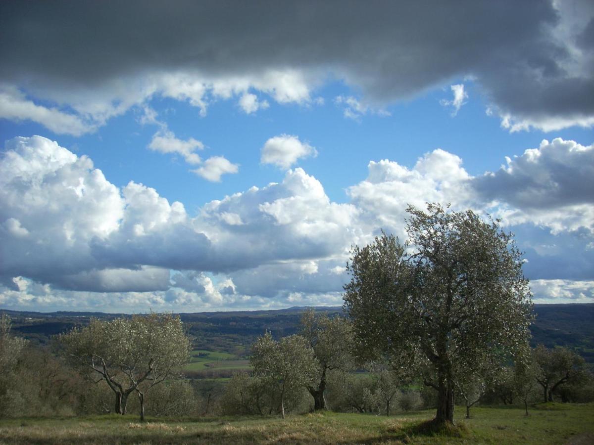 Agriturismo Le Roghete Acquapendente Eksteriør bilde